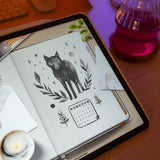 Wonder Box February 2024