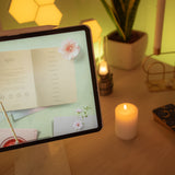 Wonder Box March 2024