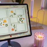 Wonder Box May 2024