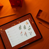 Wonder Box December 2024