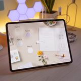 Wonder Box September 2024