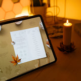 Wonder Box October 2024