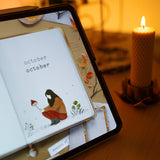Wonder Box October 2024