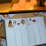 Wonder Box October 2024
