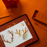 Wonder Box December 2024
