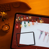 Wonder Box December 2024
