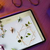 Wonder Box March 2025