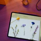 Wonder Box March 2025