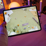 Wonder Box March 2025