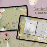 Wonder Box March 2025